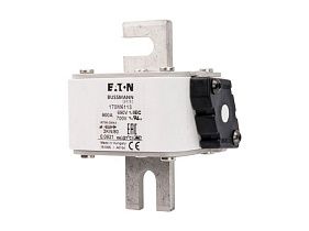 Bussmann 170M6113