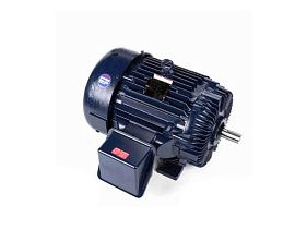 Marathon Electric E228